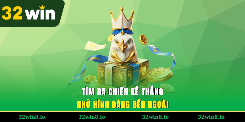 Đá Gà Cựa Sắt - Chiến Kê Thi Đấu Đầy Máu Lửa, Kịch Tính 4 Tìm ra chiến kê thắng nhờ hình dáng bên ngoài